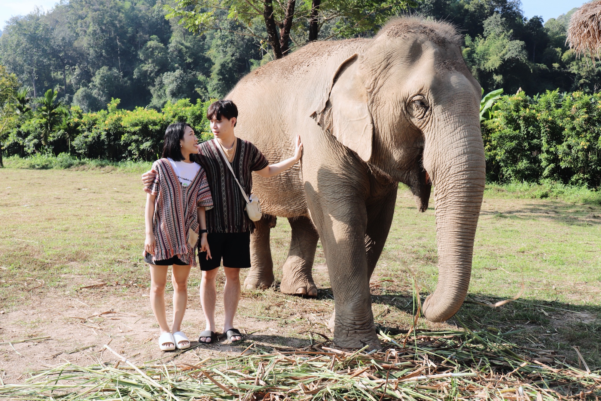 Shanna and Martin standing beside an elephant in Chiang Mai